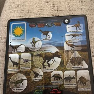 Dinosaur Reptile Educational Set - Multicolor